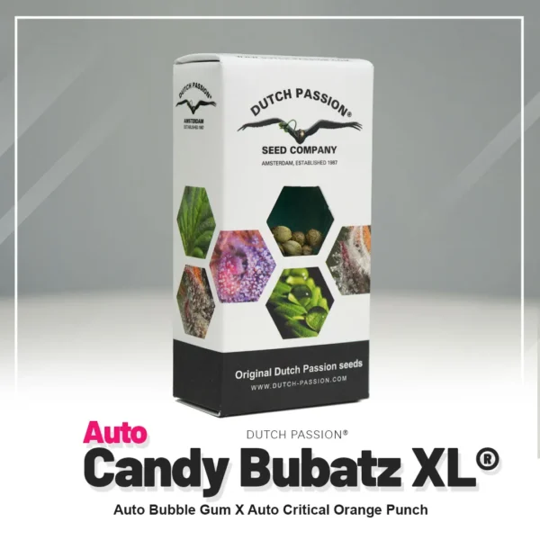 Dutch Passion - Auto Candy Bubatz XL (3kpl) - Image 2
