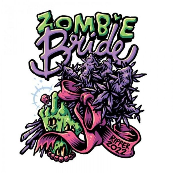 Zombie Bride (3kpl) - Image 3