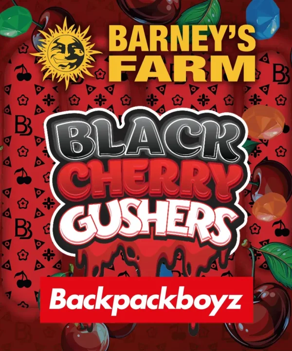 Barney´s Farm x Backpackboyz - Black Cherry Gushers (5kpl)