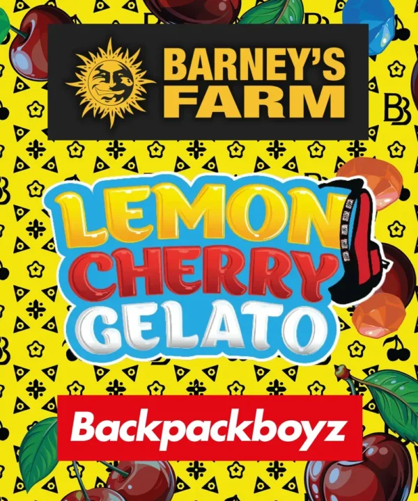 Barney´s Farm x Backpackboyz - Lemon Cherry Gelato (3kpl)